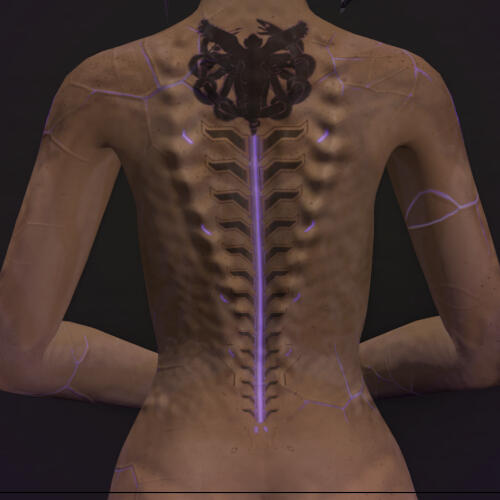 Back; Note tattoos, subdermal scale protrusions, electrope corruption